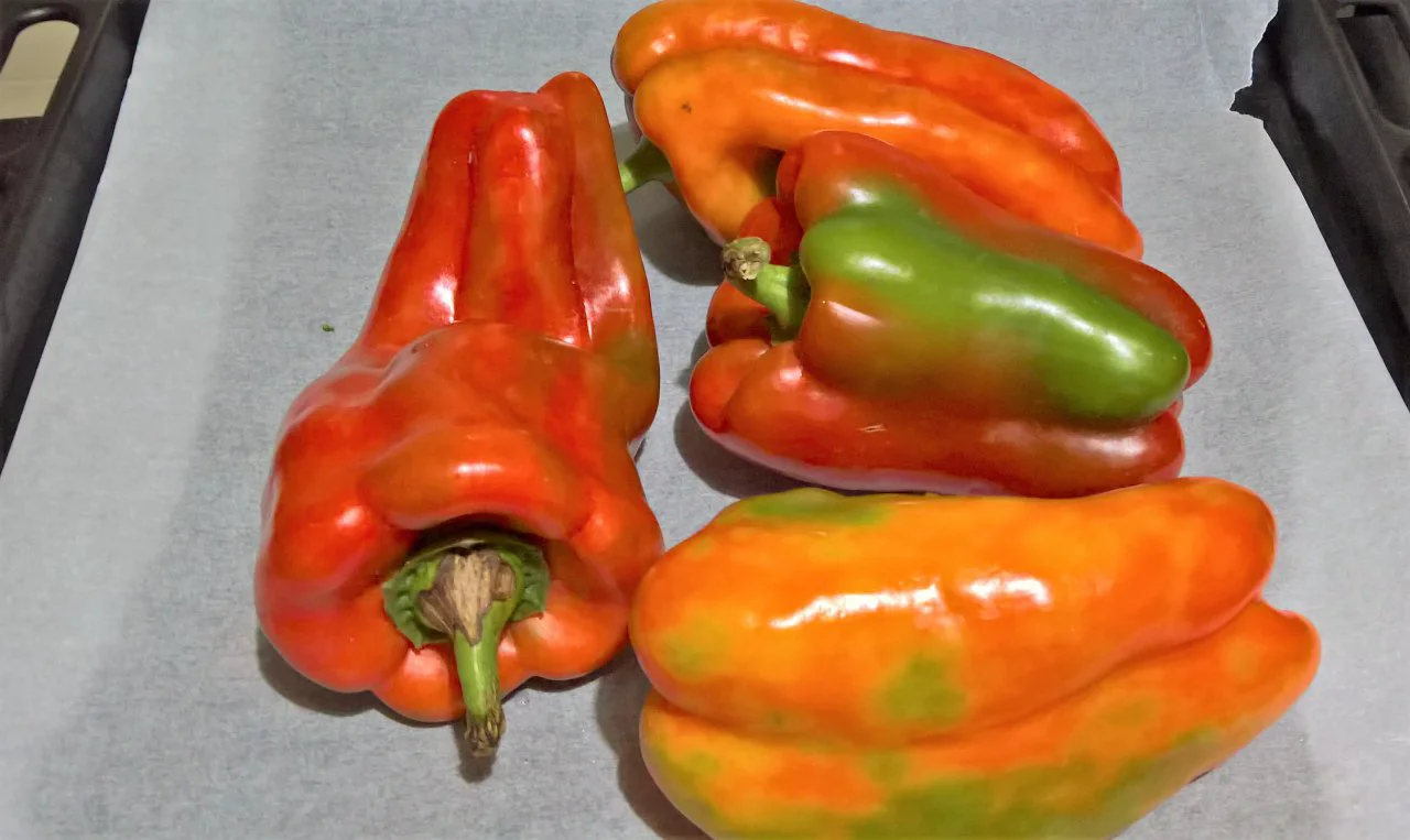 involtini di peperoni